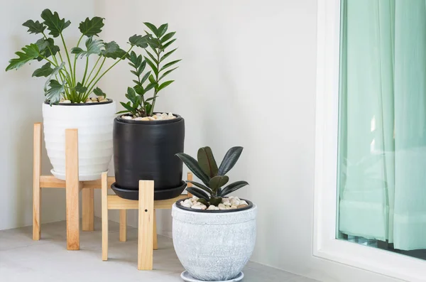 Various Plant Pots Decorated Corner Home Window — Stock Photo, Image