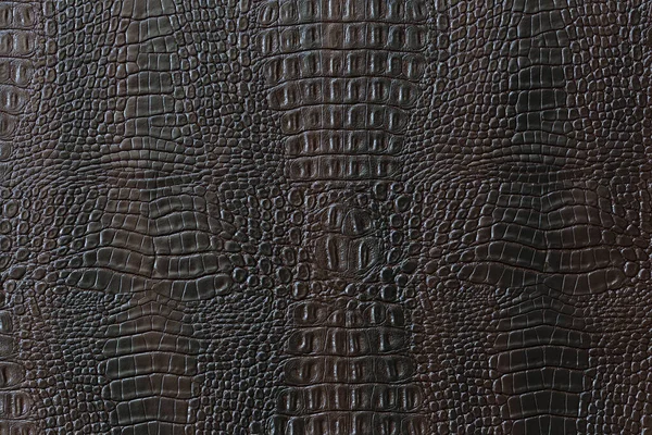 Brown Crocodile Artificial Leather Texture Pronounced Light Shadows Background Design — Stock Photo, Image