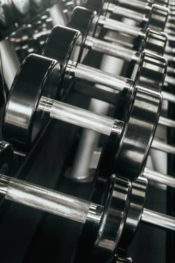 Dambıllar spor salonundaki raflara dizilmişti. Dambıl sırası. Spor malzemeleri dambılları.