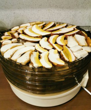 Porcini ve boletus mantarlarından kesilmiş kepler ve bacaklar çok katmanlı bir kurutma makinesinde, kurutulmaya hazırdır..