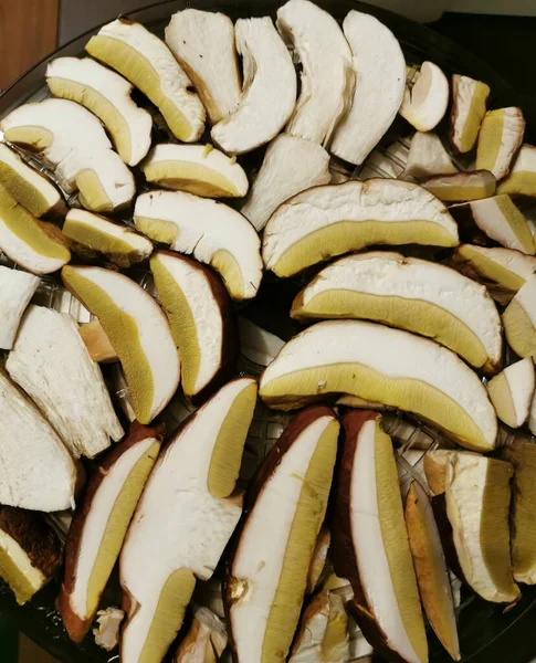 Chopped Caps Legs Porcini Mushrooms Boletus Prepared Drying — Stock Photo, Image