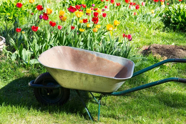 Garden Wheelbarrow Green Handles One Wheel Stands Garden Background Tulips — Stock Photo, Image