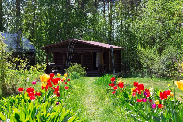 Faházhoz Tulipánnal Lat Tulipán Mindkét Oldalán — Stock Fotó