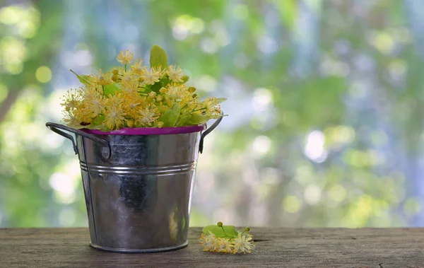 Flowers Linden Tree Bucket Wooden Background — Stock Photo, Image