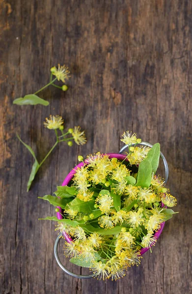 Flowers Linden Tree Bucket Wooden — Stock Photo, Image