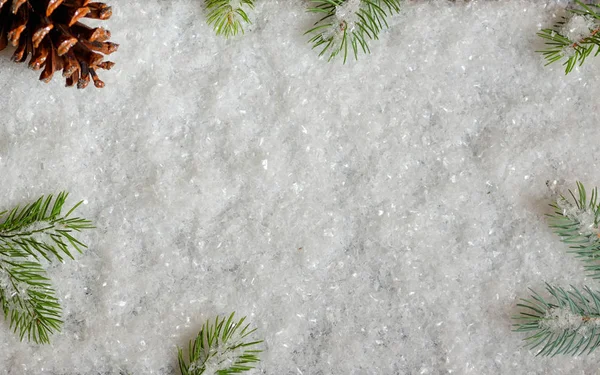 Christmas Decoration Pine Branches Snow — Stock Photo, Image