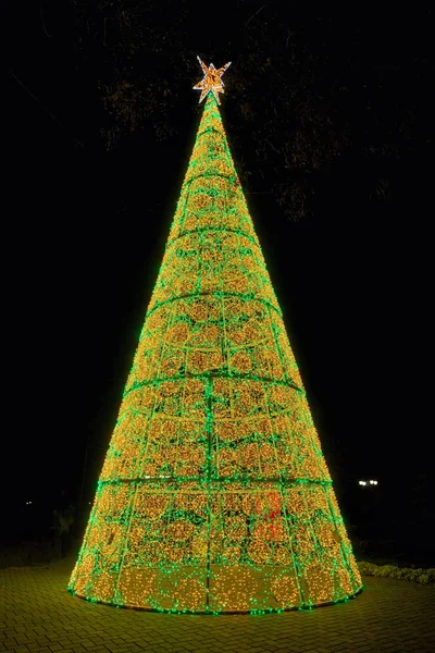 Christmas Tree Night Day Park — Stock Photo, Image