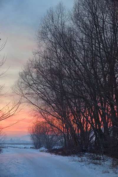 Güzel Kış Günbatımı Köy Yolu Üzerinde — Stok fotoğraf