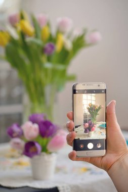 Bahar çiçek resimleri alarak kız