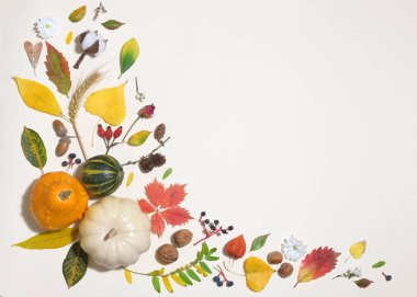 Çerçevedeki Sonbahar Renkli Yaprakları 