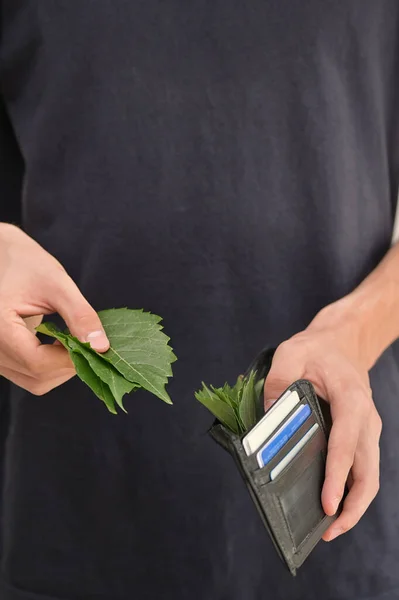 Una Cartera Cuero Llena Hojas Como Dinero Efectivo — Foto de Stock