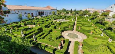 Yeşil bahçe ve mavi gökyüzü 