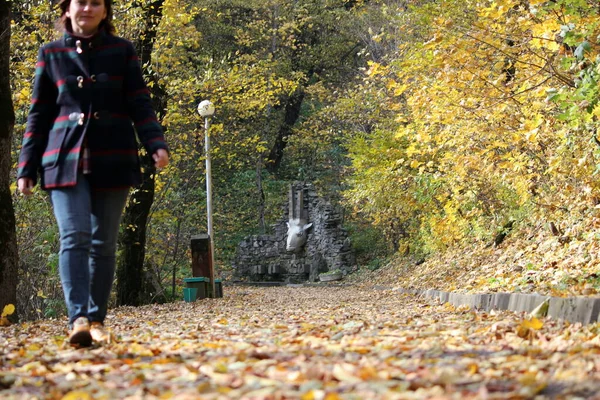Parkta altın sonbahar. Bir kız parkta tek başına yürüyor..
