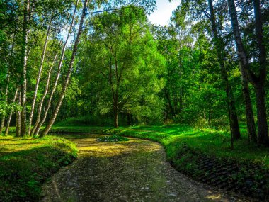 Nehir ormandaki ağaçların arkasında döner.