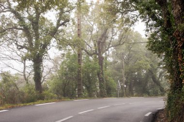 Yollar ve şehir otomobili üzerinden görüntülemek.