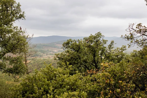 Yollar ve şehir otomobili üzerinden görüntülemek.