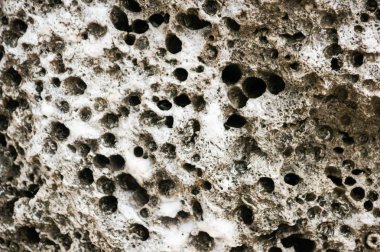 Taş gözenekleri. Arka plan ve doğal malzemelerin doku.