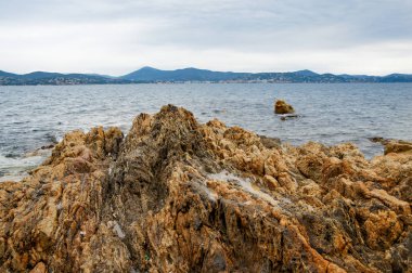 Vahşi göl kıyısında.   