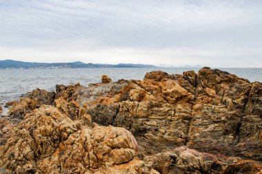 Vahşi doğa su ve kayalar ile tür.