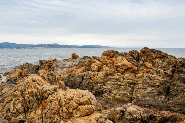 Vahşi doğa su ve kayalar ile tür.