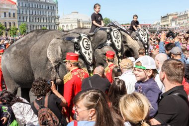 St. Petersburg, Rusya - 26 Mayıs, 2018. Geçit töreni filler şehir günü St Petersburg merkezi içinde.