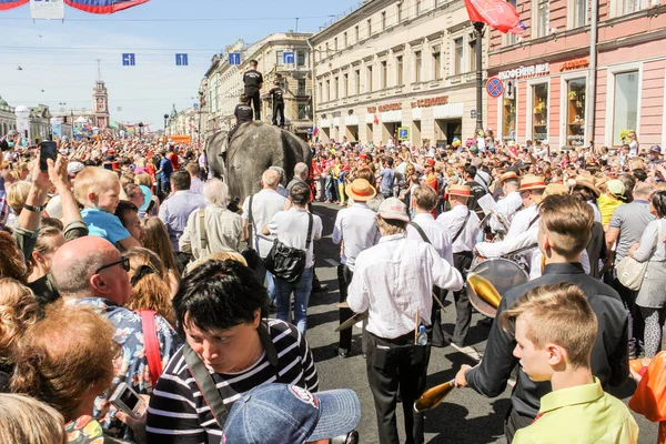 San Pietroburgo Russia Maggio 2018 Sfilata Elefanti Nel Centro San — Foto Stock