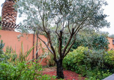 Saint Tropez, Fransa-24 Şubat, 2018. Mimari ve tip-in Güney Avrupa ülkesindeki şehirler.