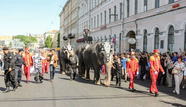 San Pietroburgo Russia Maggio 2018 Sfilata Elefanti Nel Centro San — Foto Stock