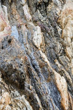 Vahşi doğa su ve kayalar ile tür.