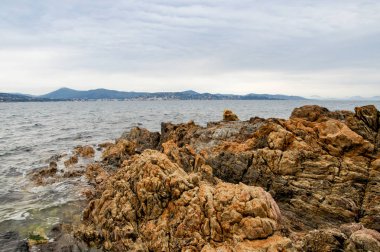 Vahşi doğa su ve kayalar ile tür.