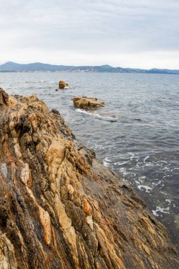 Vahşi doğa su ve kayalar ile tür.