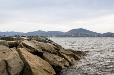 Vahşi doğa su ve kayalar ile tür.