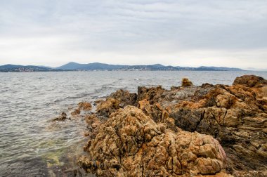 Vahşi doğa su ve kayalar ile tür.