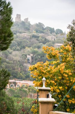 Yollar ve şehir otomobili üzerinden görüntülemek.