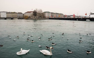 Mimari ve tip-in Güney Avrupa ülkesindeki şehirler.