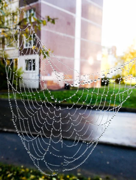 Vedere Toamnă Orașului Provincial — Fotografie, imagine de stoc