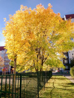 İl kasaba sonbahar manzarası.