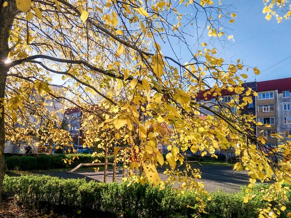 Herbst Blick Auf Die Stadt Der Provinziellen — Stockfoto