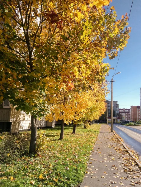 Herbst Blick Auf Die Stadt Der Provinziellen — Stockfoto