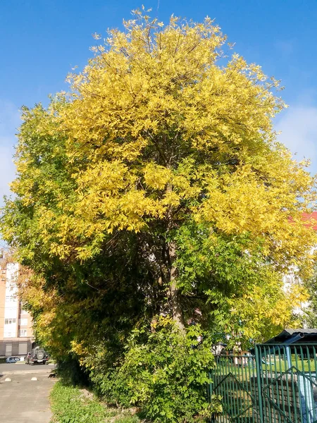 Herbst Blick Auf Die Stadt Der Provinziellen — Stockfoto