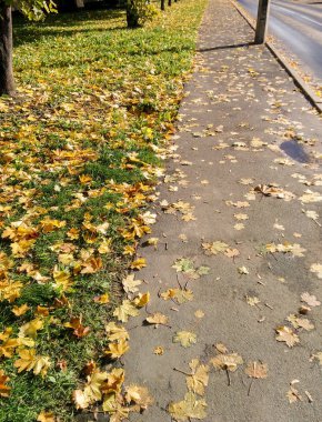 İl kasaba sonbahar manzarası.