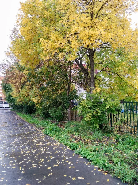 Jesienny Widok Miasta Wojewódzkiego — Zdjęcie stockowe
