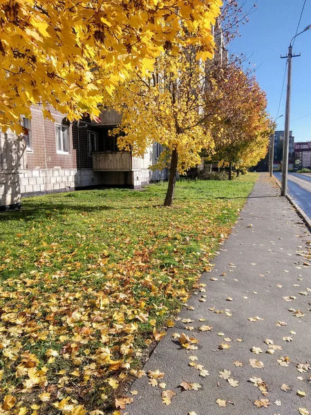 Herbst Blick Auf Die Stadt Der Provinziellen — Stockfoto
