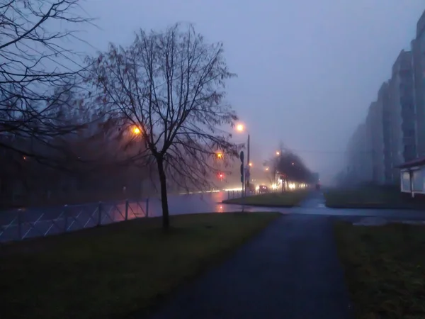 Rues Ville Dans Brouillard Soir — Photo