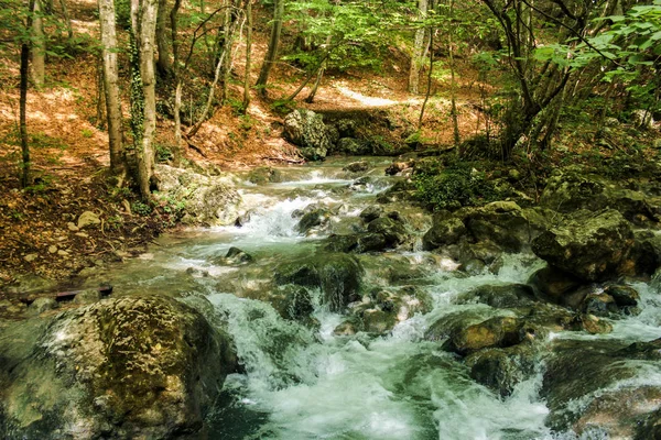 Paisaje Forestal Largo Del Gran Cañón Crimea —  Fotos de Stock