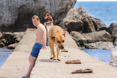 Kırım, Simeiz - 20 Temmuz, 2018. Sahil ve plajlar resort kasaba Simeiz.