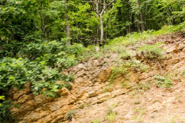 Kırım'da yollarda hareket eden bir arabanın penceresinden sayısı.