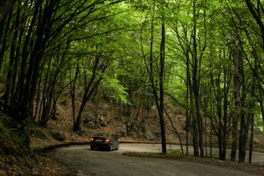 Kırım'da yollarda hareket eden bir arabanın penceresinden sayısı.