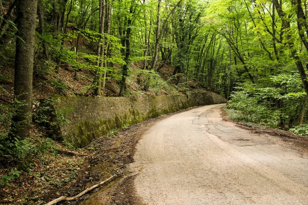 Views Window Moving Car Roads Crimea — Stock Photo, Image