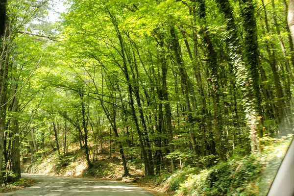 Views Window Moving Car Roads Crimea — Stock Photo, Image